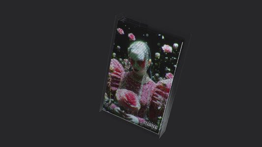 Ni$ee - The Bonita Flore Collection album (Cassette)